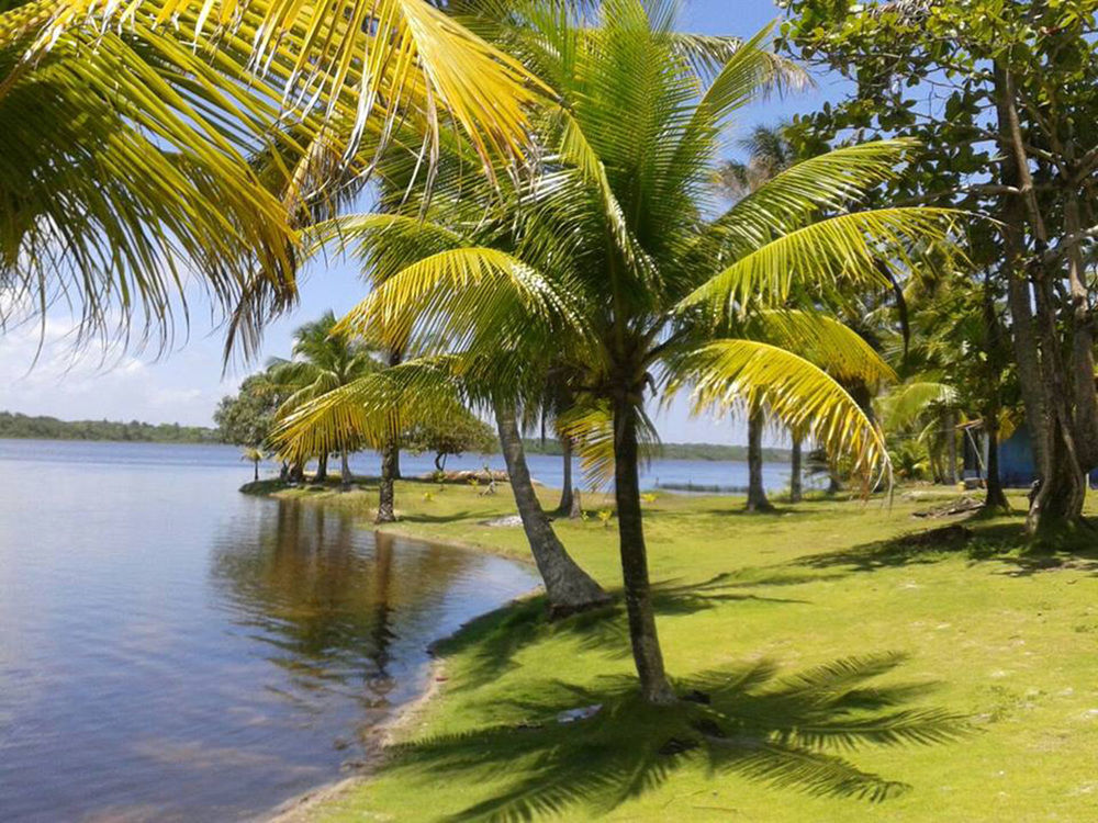 Htl Tubarao Hotell Barra Grande  Eksteriør bilde