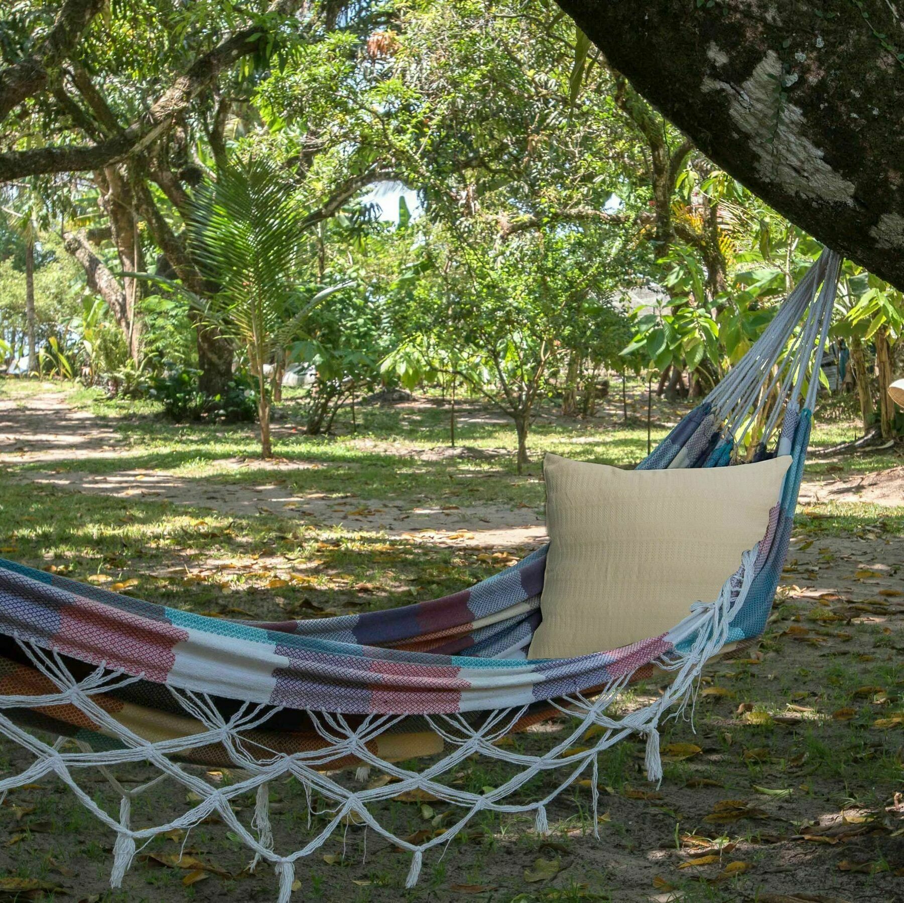 Htl Tubarao Hotell Barra Grande  Eksteriør bilde