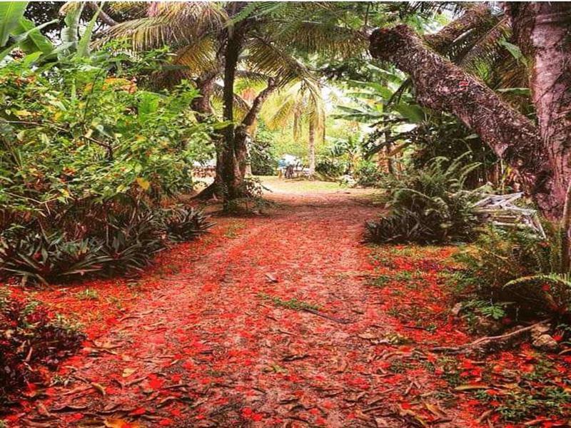 Htl Tubarao Hotell Barra Grande  Eksteriør bilde